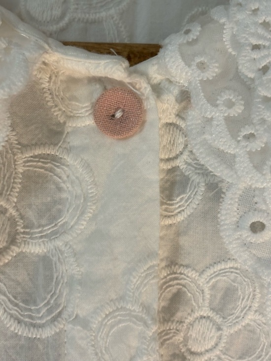 Cotton Eyelet Lace Peter Pan Collar Button-Up Blouse - Picture 14 of 14